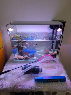 (Category: ) located in . Submitted by jess1024 (Listing ID 1400909714, Image 1). Description: .