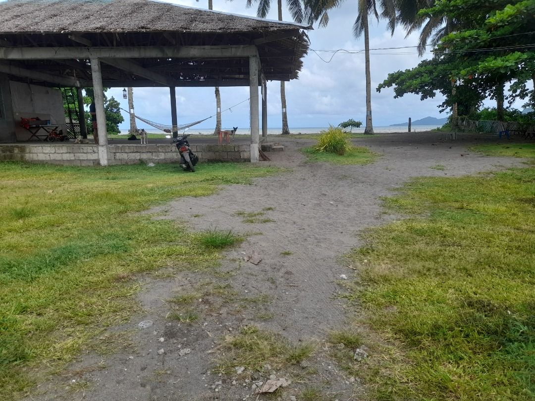 Beach property (Category: Lot) located in Dapitan. Submitted by mariamarshaa-92438 (Listing ID 1400815453, Image 3). Description: 2010 sq mtrs property along the beach with clean title.