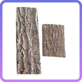(Category: ) located in . Submitted by paradian (Listing ID 1400352470, Image 1). Description: .