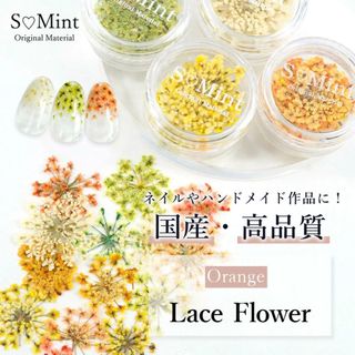 （分類：）位於 。 由 hikari127 提交（商品編號 1400800592，圖片 1）。簡介： 。