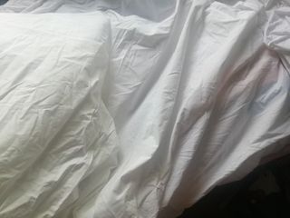 (Category: ) located in . Submitted by pat63461 (Listing ID 1400891442, Image 1). Description: .