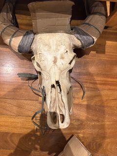 (Category: ) located in . Submitted by purgeproject (Listing ID 1401102976, Image 1). Description: .