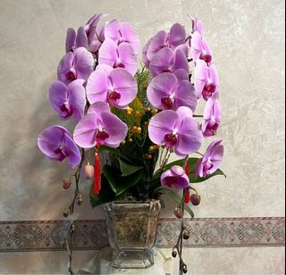 （分類：）位於 。 由 jasminecheukc 提交（商品編號 1401119517，圖片 1）。簡介： 。