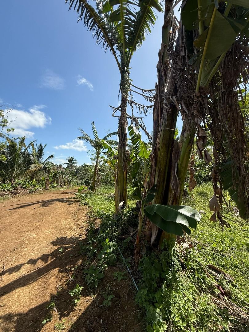 Alfonso Cavite Farm Lot Just 6 mins Away From Twin Lakes 3 700/sq m