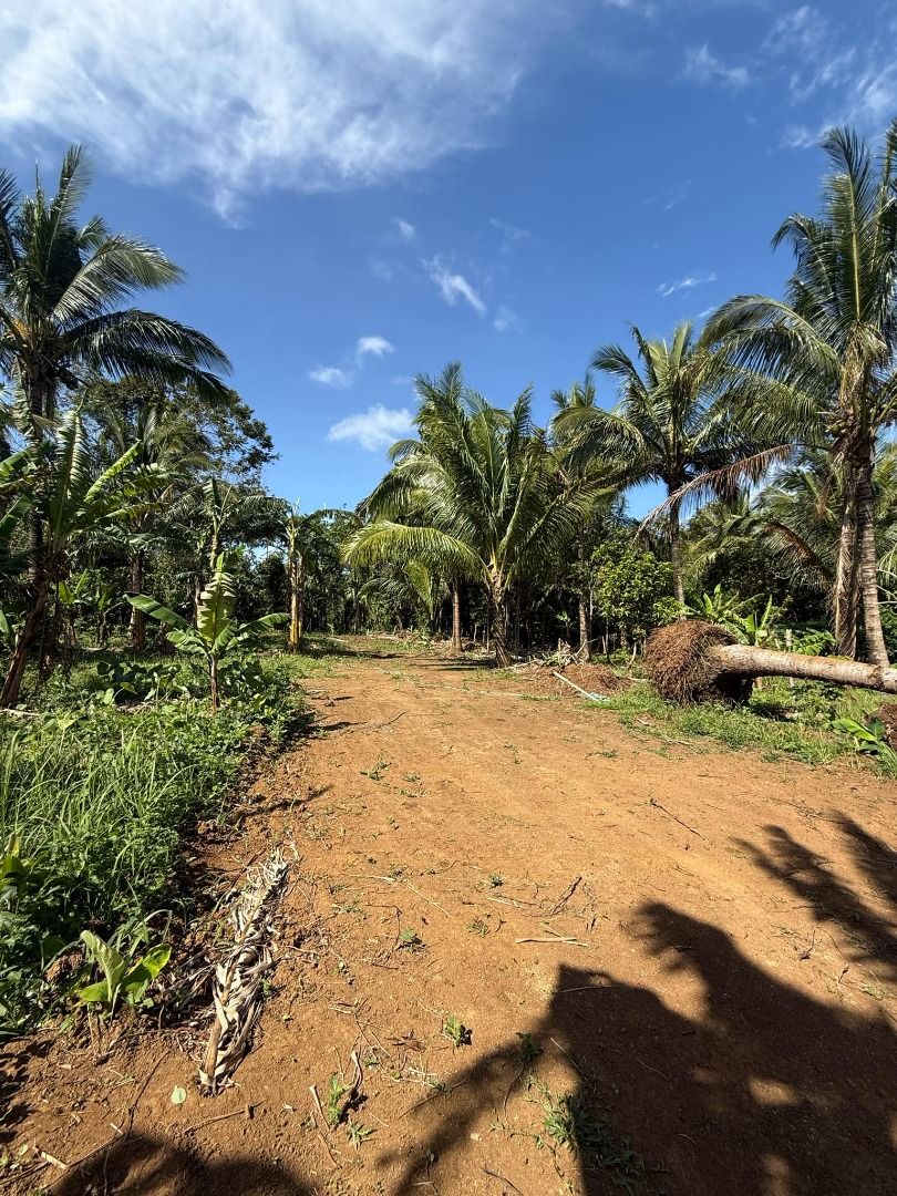 Alfonso Cavite Farm Lot Just 6 mins Away From Twin Lakes 3 700/sq m