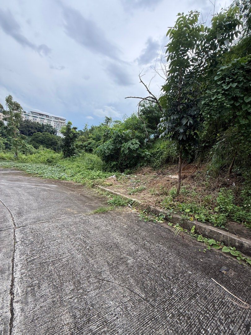 Blue mountain lot (Category: Lot) located in Pasig City. Submitted by tamara0520 (Listing ID 1396189267, Image 2). Description: Lot in blue mountain commercial residence, in a nice location, at the back of fatima school and hospital. Antipolo sumulong and cogeo rizal road access, Secured residences and accessible area. Near saint benilde college, markets, gasoline station. .