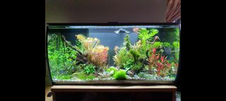(Category: ) located in . Submitted by mastar9 (Listing ID 1396126178, Image 1). Description: .