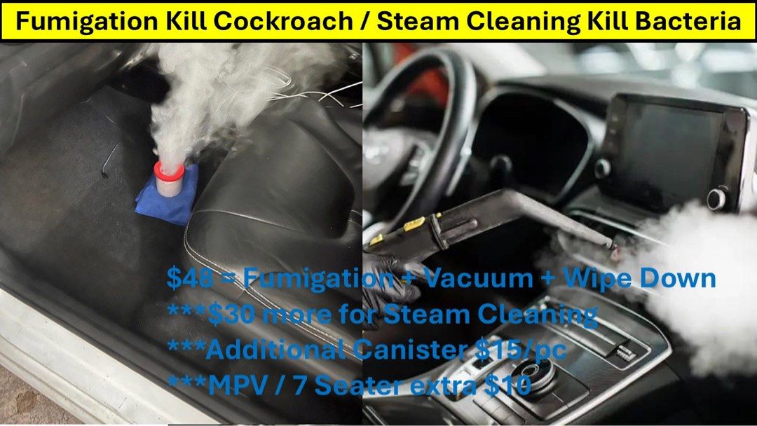 Fumigation kill Cockroaches /Steam Cleaning Kill Bacteria, Car ...