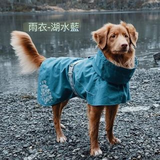 由 cuicuib (刊登 ID 1396161615，圖片 1) 提交，位於 的 (類別：)，說明：。