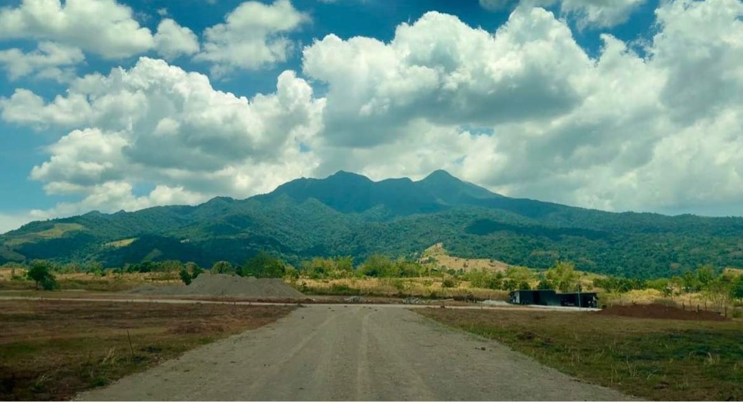 (Category: ) located in . Submitted by greentagph (Listing ID 1396239352, Image 1). Description: .