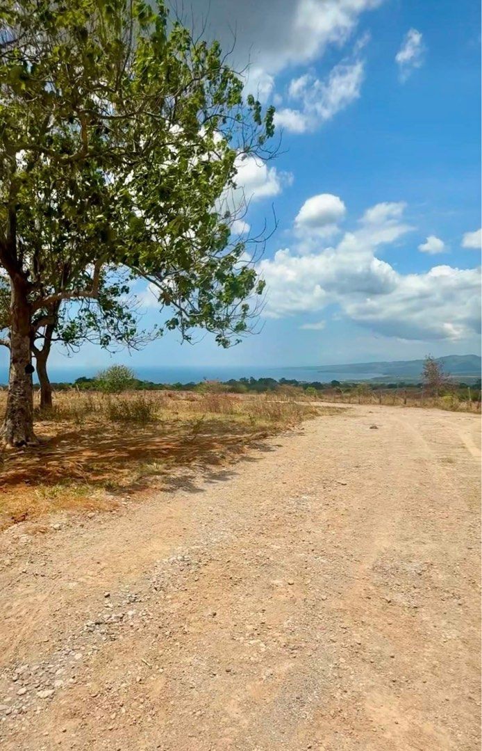 PRE-SELLING LOT IN BAGAC BATAAN (Category: Lot) located in Angono. Submitted by greentagph (Listing ID 1396239352, Image 2). Description: PRE-SELLING LOT IN BAGAC BATAAN 500sqm *residential farmlot *mountain (Mt.Mariveles and Mt.Natib) and sea view *10-15mins away from beach resorts *cash only *direct buyer.