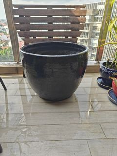 (Category: ) located in . Submitted by srarano (Listing ID 1396282638, Image 1). Description: .