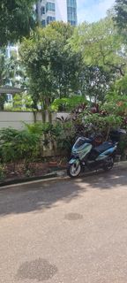 (Category: ) located in . Submitted by yardz (Listing ID 1401287618, Image 1). Description: .