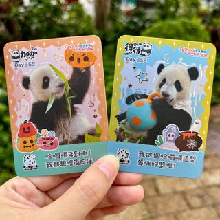 （分類：）位於 。 由 Dolphin_ 提交（商品編號 1401179464，圖片 1）。簡介： 。