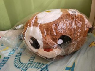 （分類：）位於 。 由 bekathy1024 提交（商品編號 1401487897，圖片 1）。簡介： 。