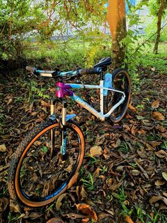 Polygon mtb For Sale Bicycles Carousell Singapore