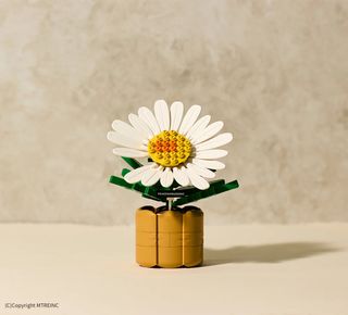 （分類：）位於 。 由 kraxy 提交（商品編號 1401379305，圖片 1）。簡介： 。