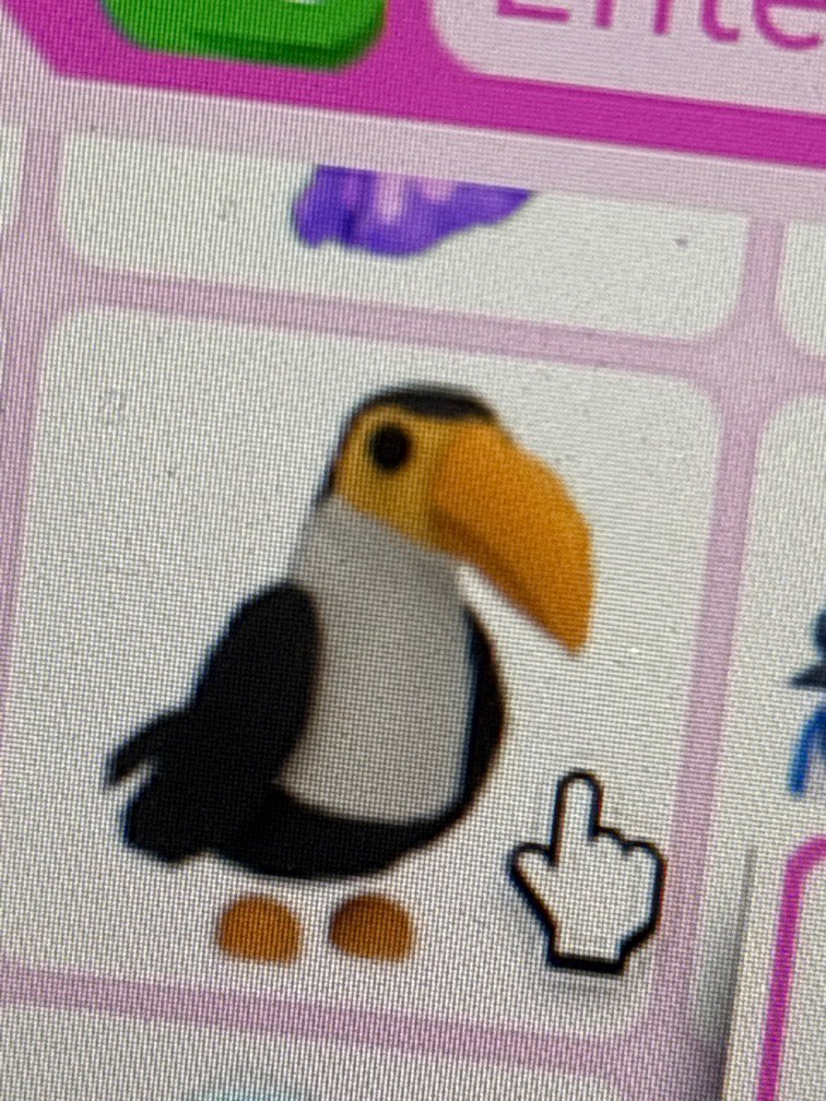 TOUCAN ADOPT ME NEWBORN, Video Gaming, Video Games, Others on