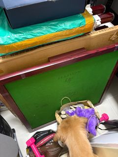 (Category: ) located in . Submitted by eeeeeeep (Listing ID 1396293329, Image 1). Description: .