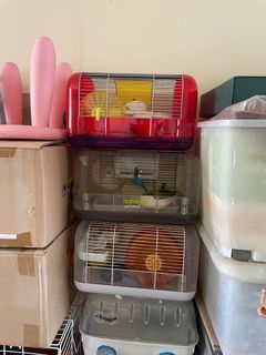 (Category: ) located in . Submitted by sebastian3363 (Listing ID 1396303929, Image 1). Description: .