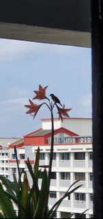 (Category: ) located in . Submitted by avani (Listing ID 1396423924, Image 1). Description: .