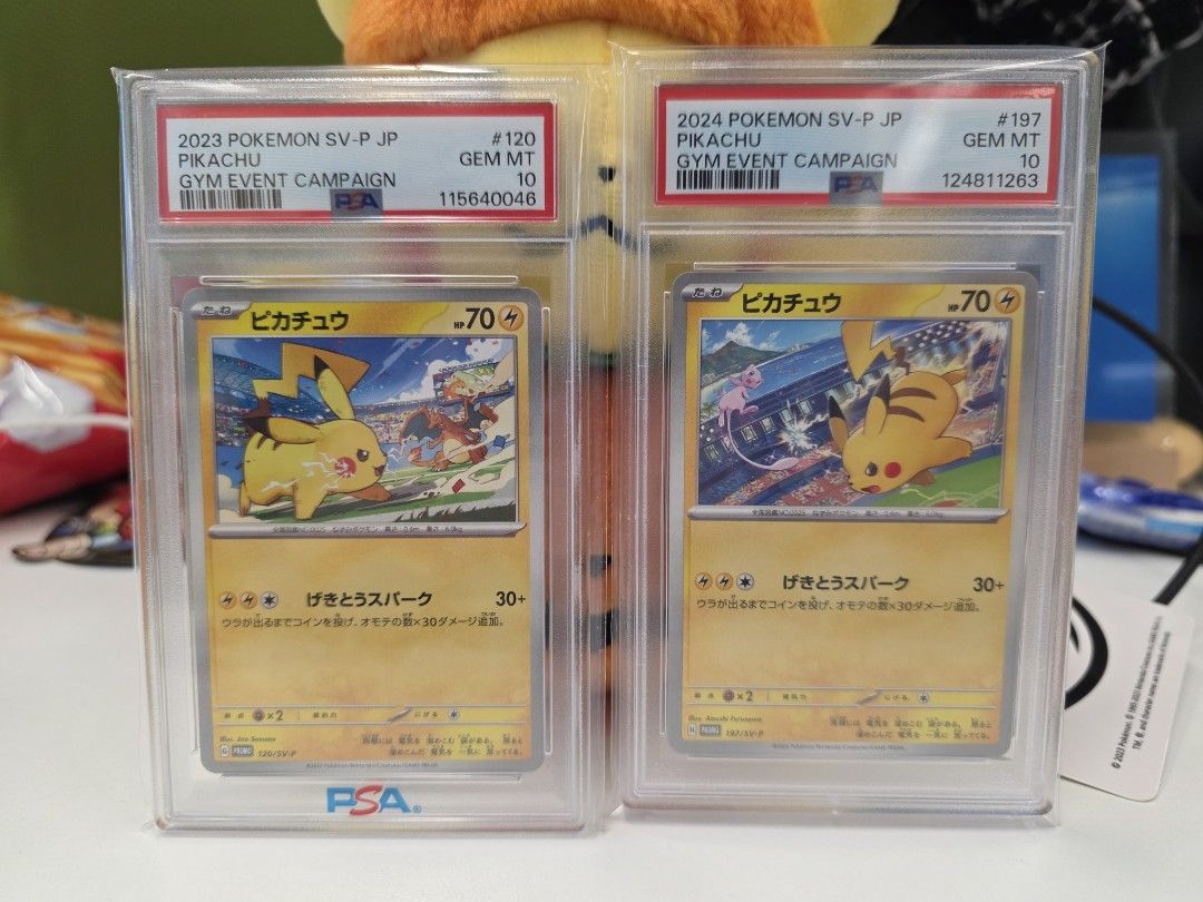 2023/2024 PIKACHU GYM EVENT PSA10 ALLPSA10 2連番 ピカチュウ