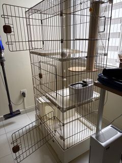 (Category: ) located in . Submitted by catrunning (Listing ID 1396292906, Image 1). Description: .