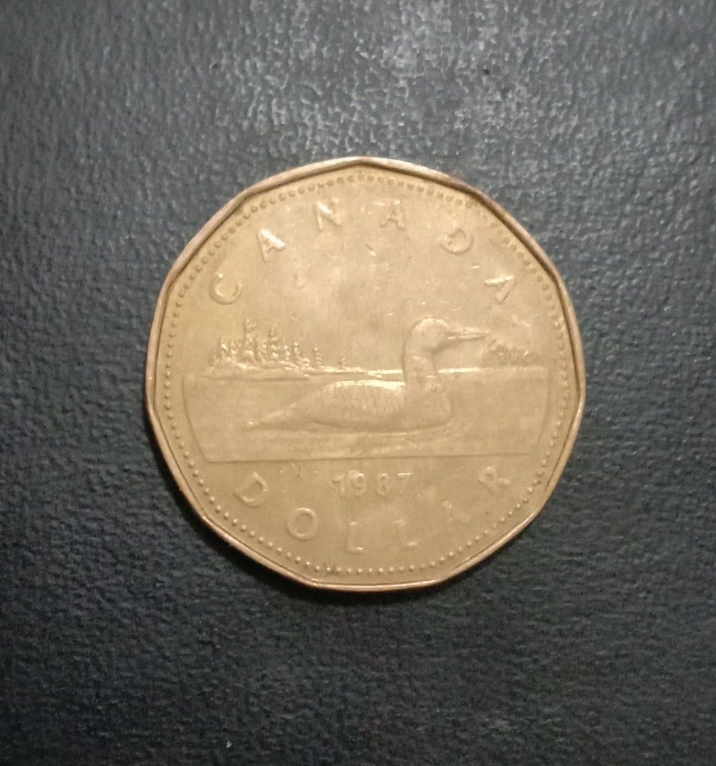 1987 Queen Elizabeth Canada Dollar Coin (Category: Currency) located in Cabuyao City. Submitted by reyesjim60 (Listing ID 1396602043, Image 1). Description: 1987 Queen Elizabeth Canada Dollar Coin.