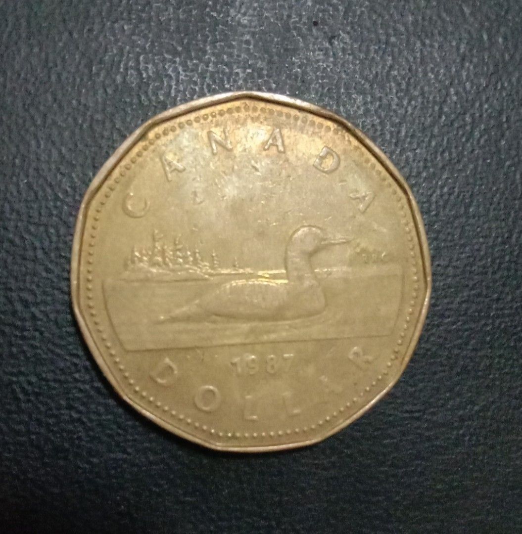 1987 Queen Elizabeth Canada Dollar Coin (Category: Currency) located in Cabuyao City. Submitted by reyesjim60 (Listing ID 1396602043, Image 3). Description: 1987 Queen Elizabeth Canada Dollar Coin.