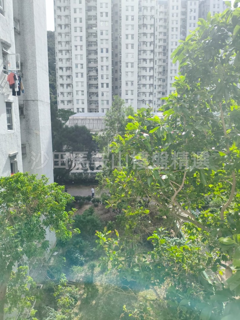 [綠表市場]富安花園2房 企理裝修64080052439298112