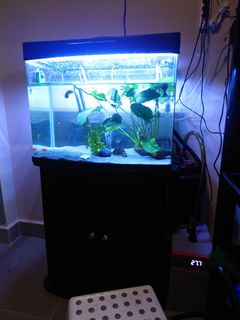 (Category: ) located in . Submitted by hafsham84 (Listing ID 1396610184, Image 1). Description: .