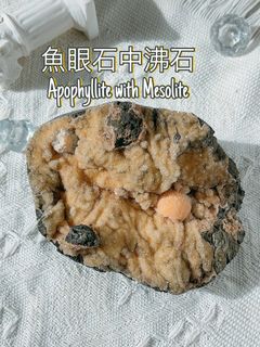 （分類：）位於 。 由 jms_jimusho 提交（商品編號 1396617781，圖片 1）。簡介： 。