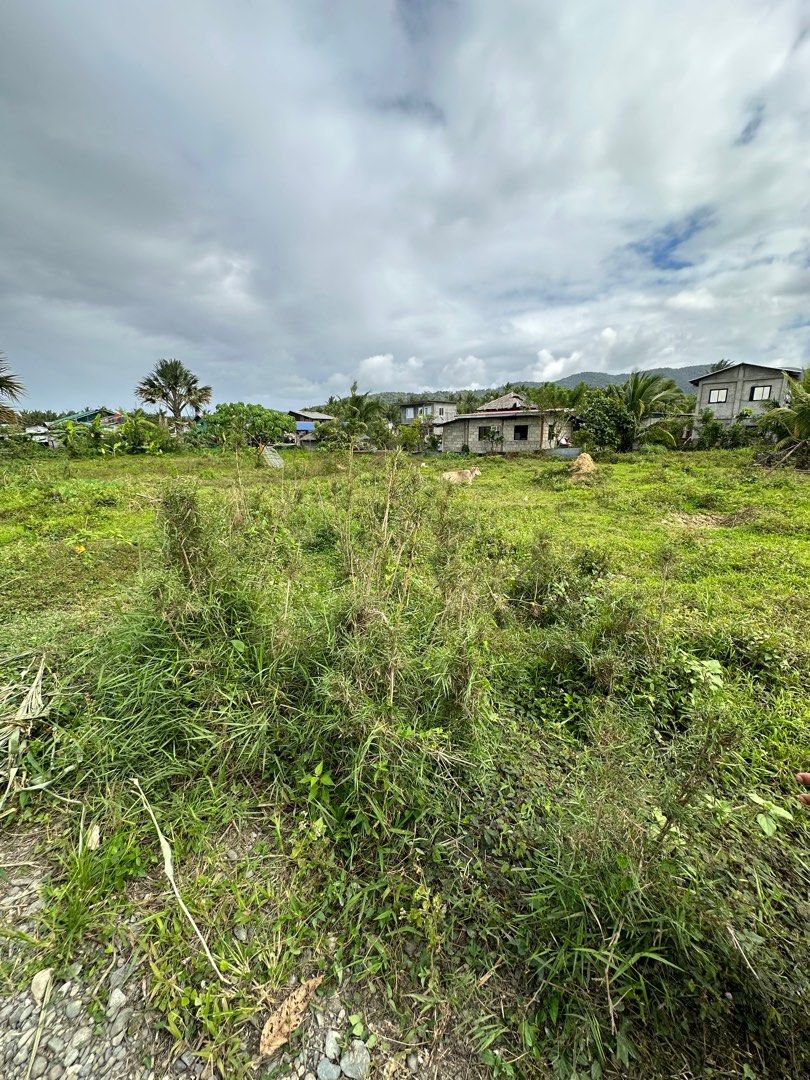 Baler lot for sale (Category: Lot) located in Manila. Submitted by mbcollections251 (Listing ID 1396515946, Image 2). Description: Lot for sale Baler, Aurora(Surfing Capital) brgy.sabang(tourist area) Nearby Sabang beach, Pwede lakarin 3-5mins. Corner lot 200 sqm Titled lot Direct owner agents are welcome.