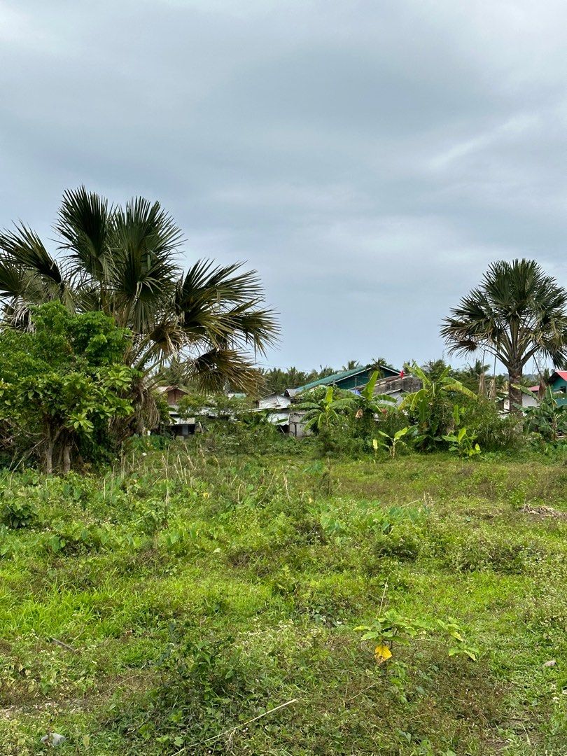 Baler lot for sale (Category: Lot) located in Manila. Submitted by mbcollections251 (Listing ID 1396515946, Image 3). Description: Lot for sale Baler, Aurora(Surfing Capital) brgy.sabang(tourist area) Nearby Sabang beach, Pwede lakarin 3-5mins. Corner lot 200 sqm Titled lot Direct owner agents are welcome.