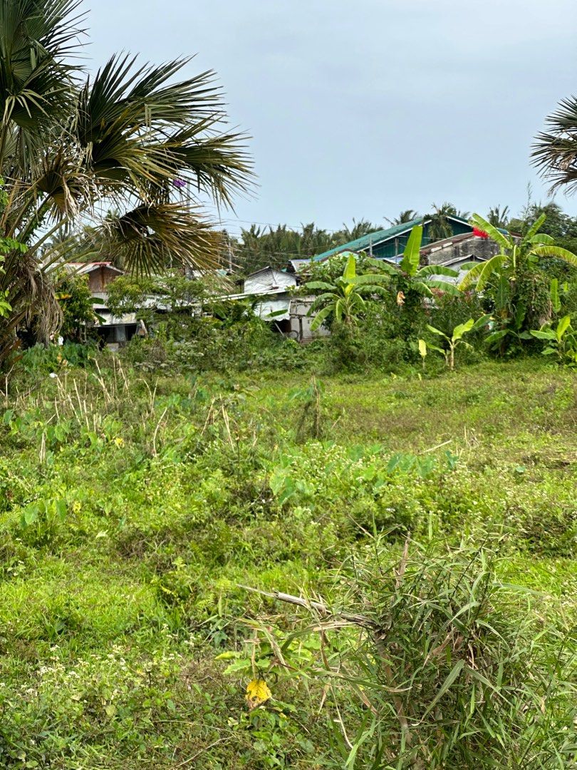 Baler lot for sale (Category: Lot) located in Manila. Submitted by mbcollections251 (Listing ID 1396515946, Image 1). Description: Lot for sale Baler, Aurora(Surfing Capital) brgy.sabang(tourist area) Nearby Sabang beach, Pwede lakarin 3-5mins. Corner lot 200 sqm Titled lot Direct owner agents are welcome.