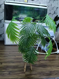 (Category: ) located in . Submitted by athirazak (Listing ID 1396628637, Image 1). Description: .
