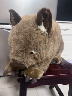 （分類：）位於 。 由 da.du.0526 提交（商品編號 1396777605，圖片 1）。簡介： 。