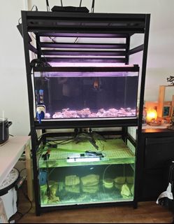 (Category: ) located in . Submitted by patsee (Listing ID 1396794343, Image 1). Description: .