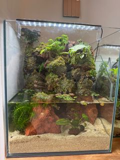 (Category: ) located in . Submitted by ssllllxx (Listing ID 1396715685, Image 1). Description: .