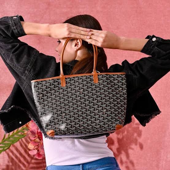 Artois Pm When Worn Goyard Pm Artois Tote Bag Brown, Women's