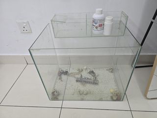(Category: ) located in . Submitted by mshahmia (Listing ID 1396785162, Image 1). Description: .