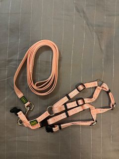 （分類：）位於 。 由 for_rachel 提交（商品編號 1396804139，圖片 1）。簡介： 。