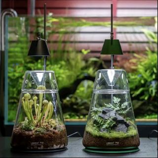 (Category: ) located in . Submitted by 321aquascape (Listing ID 1396722991, Image 1). Description: .
