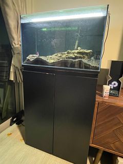 (Category: ) located in . Submitted by eddyotei (Listing ID 1397006073, Image 1). Description: .