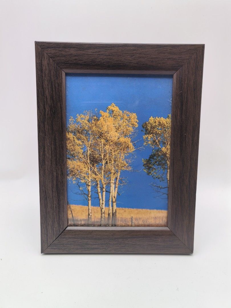 Picture Stand Frame (Category: Frames & Pictures) located in Cebu City. Submitted by dudes_villanueva (Listing ID 1396927360, Image 1). Description: Picture Stand Frame Material: Wood and Glass 📌In very good condition. Has small dent. Not an issue. 📌4R size Display Area: 3.1x4.6 inch Frame Size: 4.75x6.25 inch.