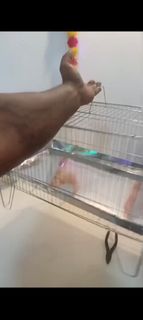 (Category: ) located in . Submitted by shashasenthil13 (Listing ID 1396990205, Image 1). Description: .