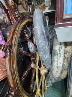(Category: ) located in . Submitted by fjfrancis (Listing ID 1396946079, Image 1). Description: .