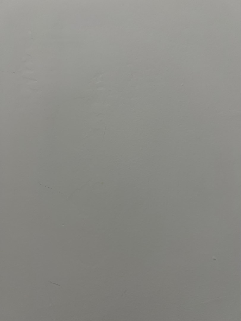 想搵暗盤 好客 準時 穩定職業64587218335875110