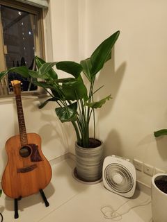 （分類：）位於 。 由 potluck_hk 提交（商品編號 1397150448，圖片 1）。簡介： 。
