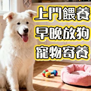 （分類：）位於 。 由 pet_helper 提交（商品編號 1393149014，圖片 1）。簡介： 。